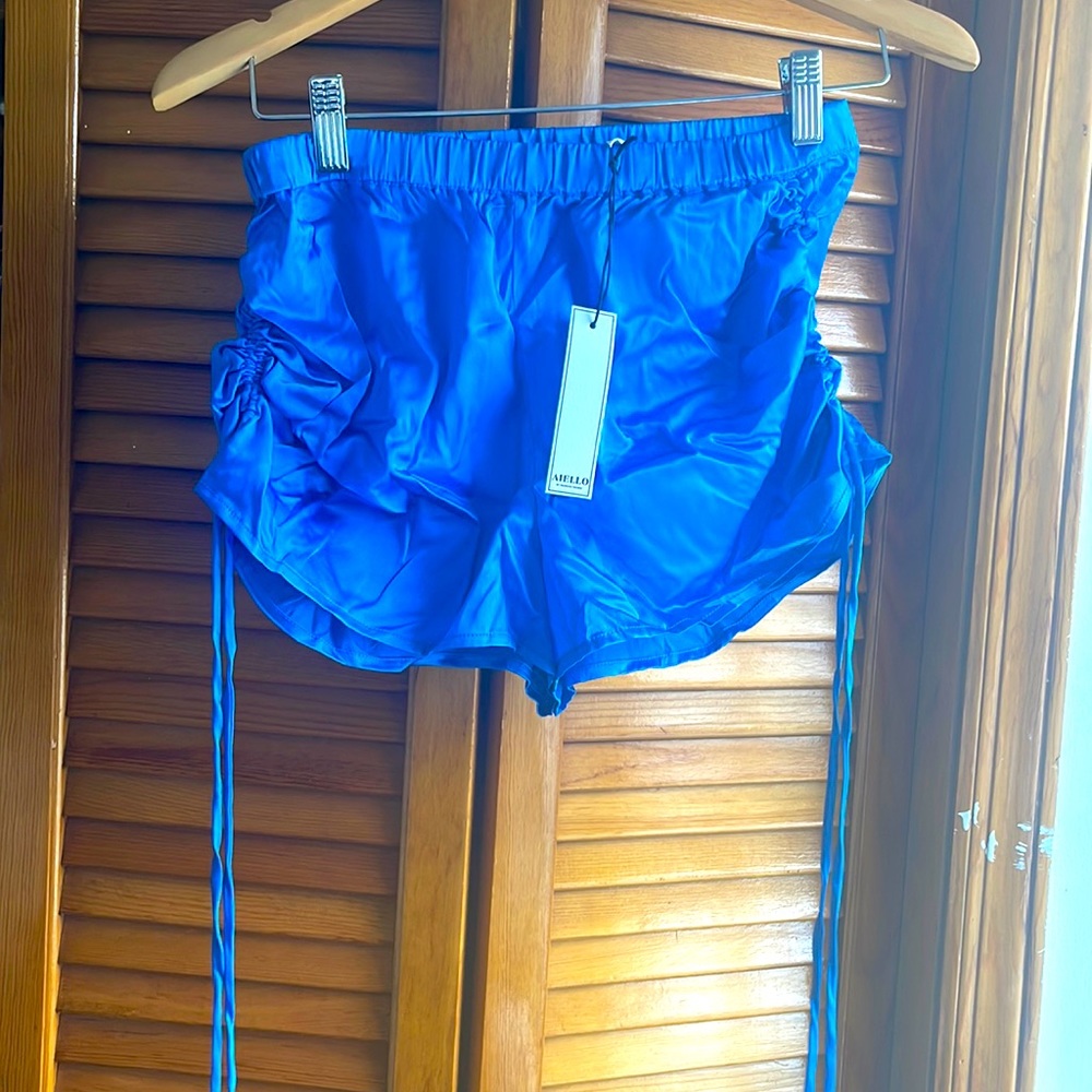 Brand new Aiello by Frankie’s Bikinis silk shorts